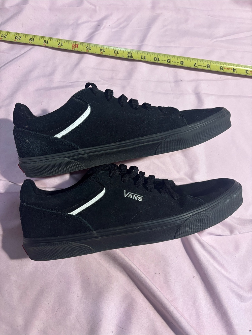 Vans Black Low-Top Skate Sneakers with White Accent
